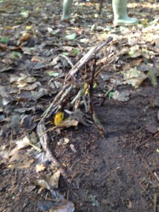 image (1)